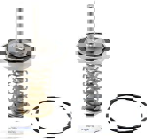 LFNP 2-1/2 - 3 LFRK909 CK2 REP KIT